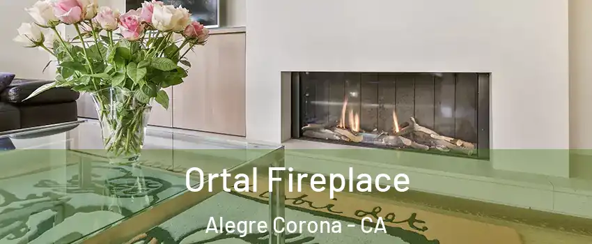Ortal Fireplace Alegre Corona - CA