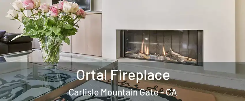 Ortal Fireplace Carlisle Mountain Gate - CA