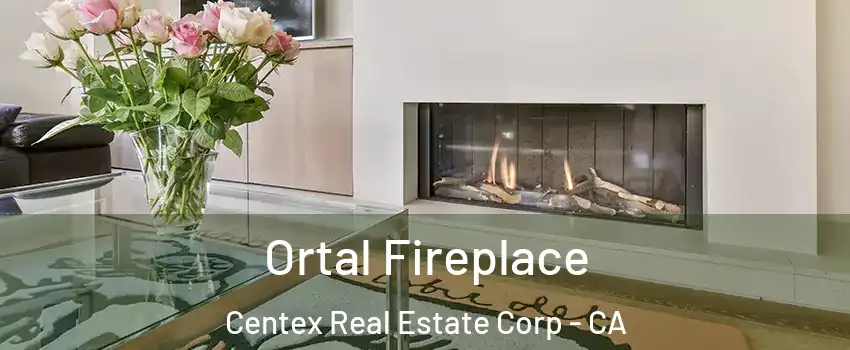 Ortal Fireplace Centex Real Estate Corp - CA