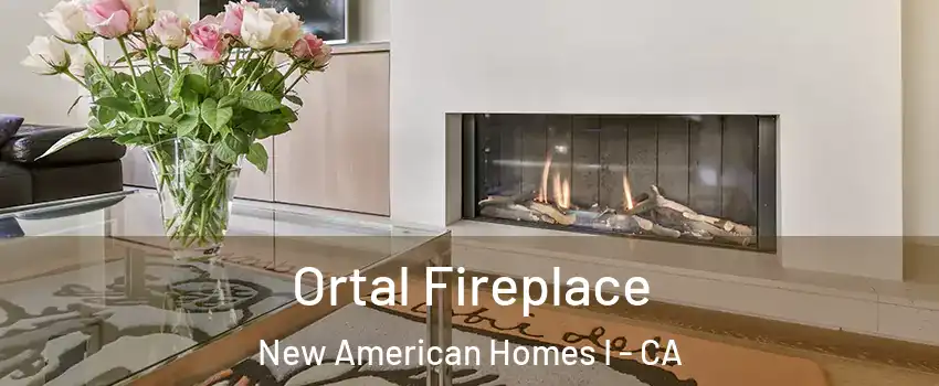 Ortal Fireplace New American Homes I - CA