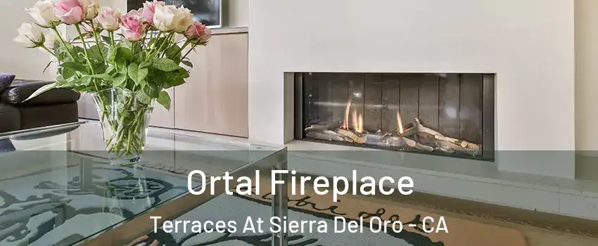 Ortal Fireplace Terraces At Sierra Del Oro - CA