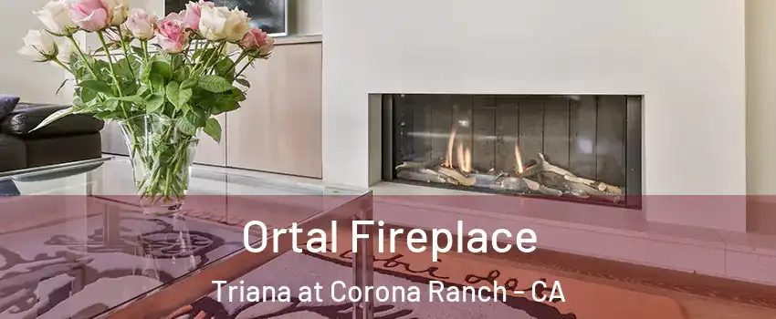 Ortal Fireplace Triana at Corona Ranch - CA