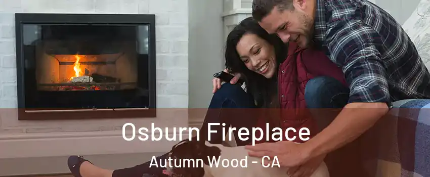 Osburn Fireplace Autumn Wood - CA