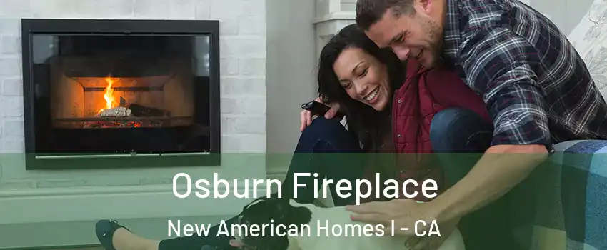 Osburn Fireplace New American Homes I - CA