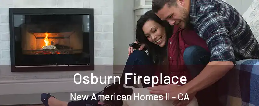 Osburn Fireplace New American Homes II - CA