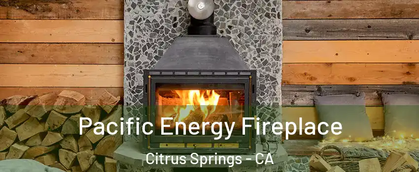 Pacific Energy Fireplace Citrus Springs - CA