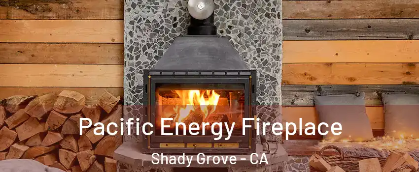 Pacific Energy Fireplace Shady Grove - CA