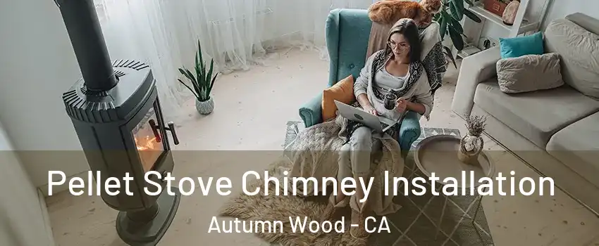 Pellet Stove Chimney Installation Autumn Wood - CA