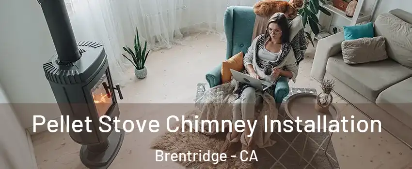 Pellet Stove Chimney Installation Brentridge - CA