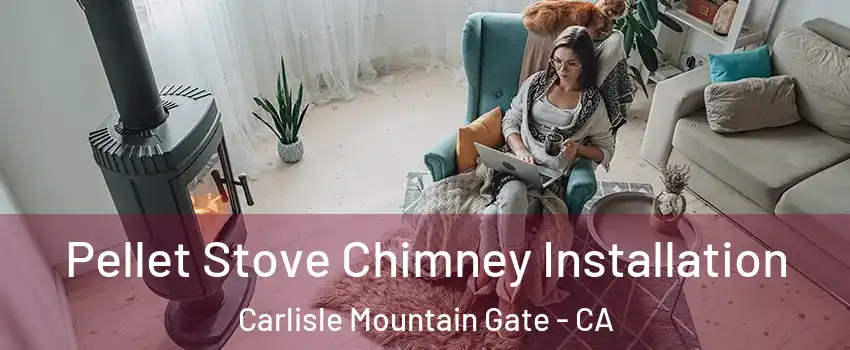 Pellet Stove Chimney Installation Carlisle Mountain Gate - CA