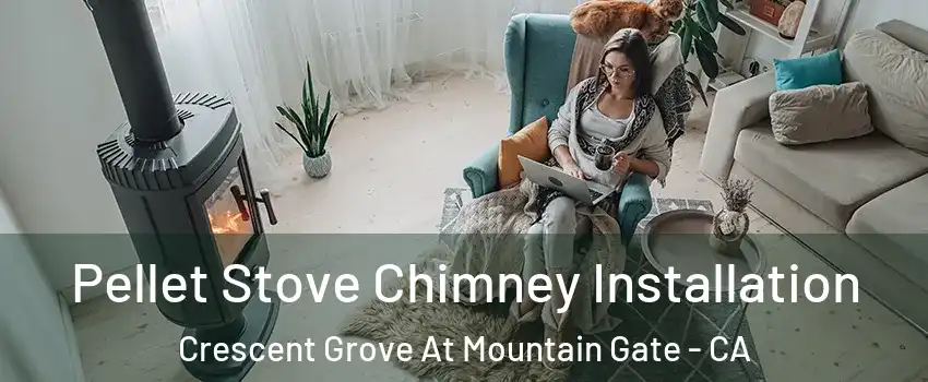 Pellet Stove Chimney Installation Crescent Grove At Mountain Gate - CA