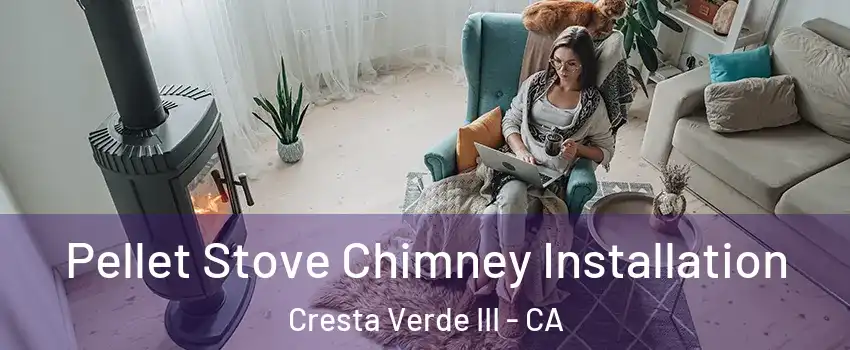 Pellet Stove Chimney Installation Cresta Verde III - CA