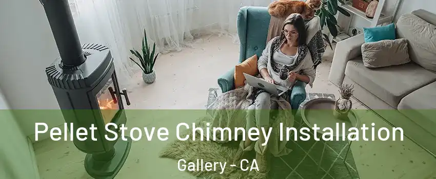 Pellet Stove Chimney Installation Gallery - CA