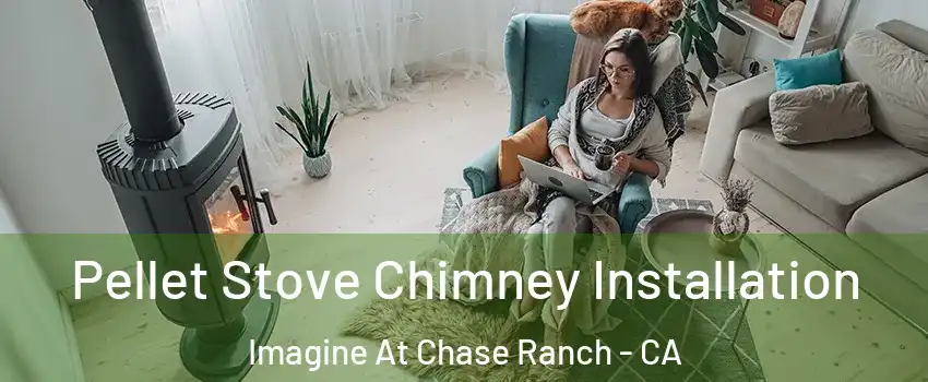 Pellet Stove Chimney Installation Imagine At Chase Ranch - CA