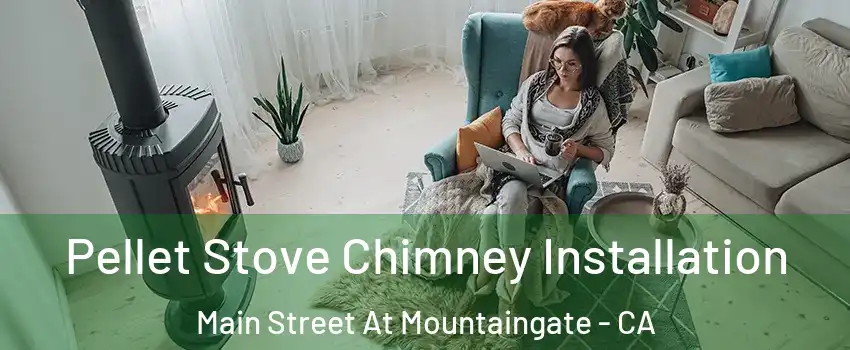 Pellet Stove Chimney Installation Main Street At Mountaingate - CA