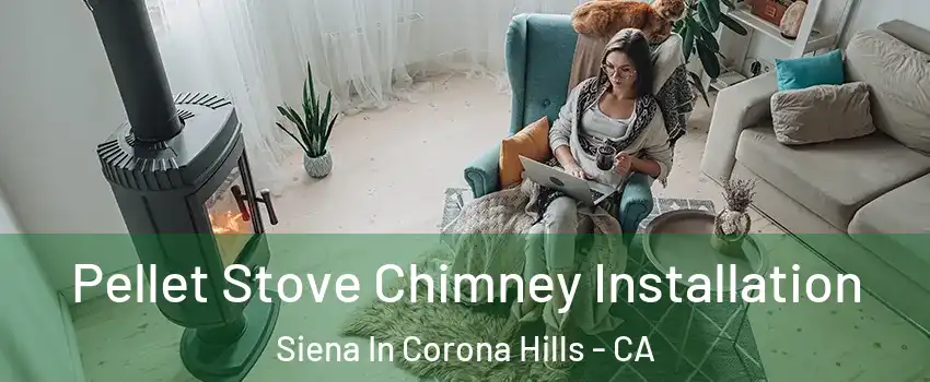 Pellet Stove Chimney Installation Siena In Corona Hills - CA