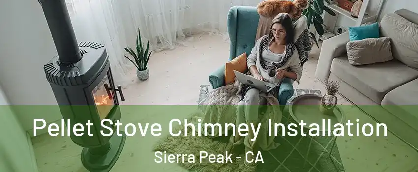 Pellet Stove Chimney Installation Sierra Peak - CA