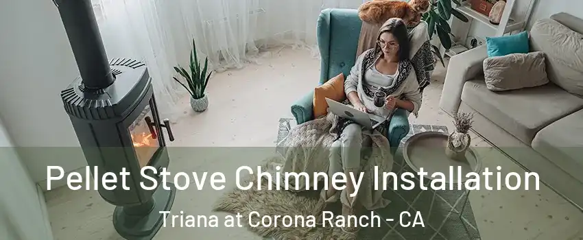 Pellet Stove Chimney Installation Triana at Corona Ranch - CA