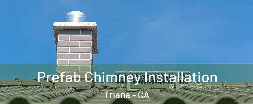 Prefab Chimney Installation Triana - CA
