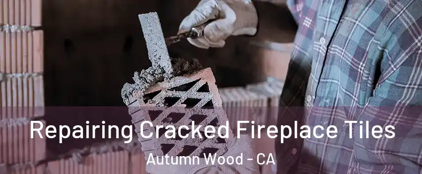 Repairing Cracked Fireplace Tiles Autumn Wood - CA
