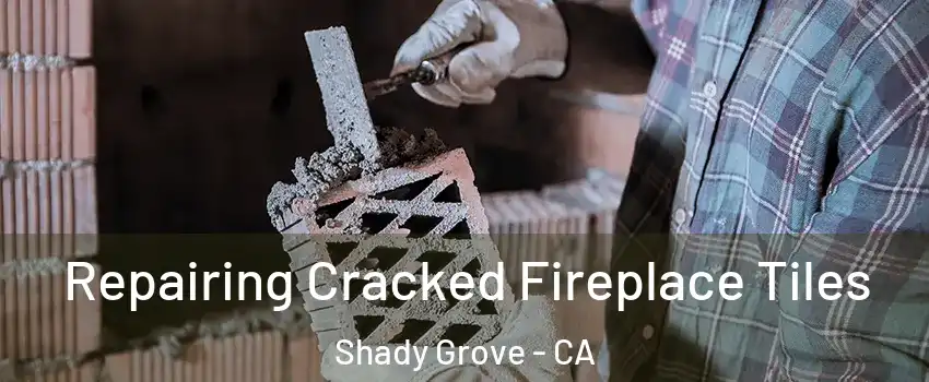 Repairing Cracked Fireplace Tiles Shady Grove - CA
