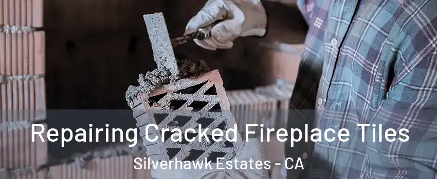 Repairing Cracked Fireplace Tiles Silverhawk Estates - CA