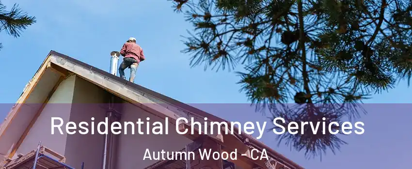 Residential Chimney Services Autumn Wood - CA