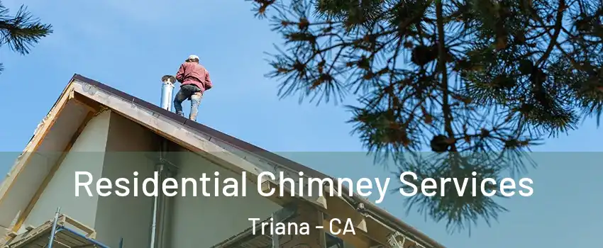 Residential Chimney Services Triana - CA