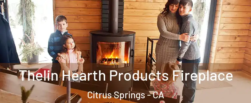 Thelin Hearth Products Fireplace Citrus Springs - CA