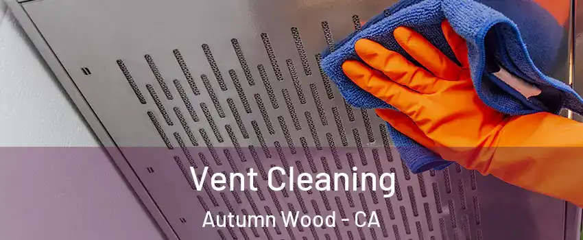 Vent Cleaning Autumn Wood - CA