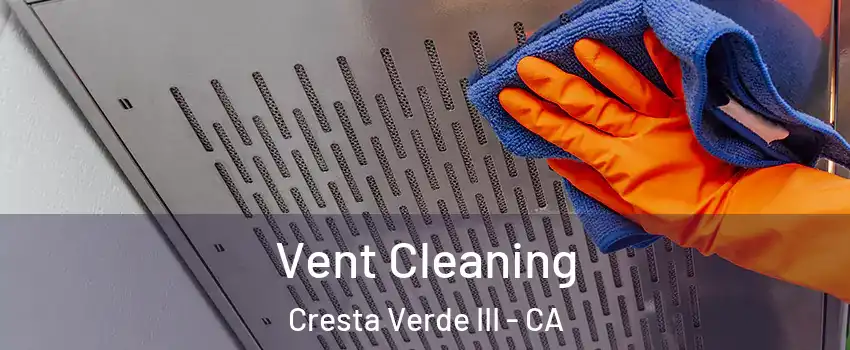 Vent Cleaning Cresta Verde III - CA
