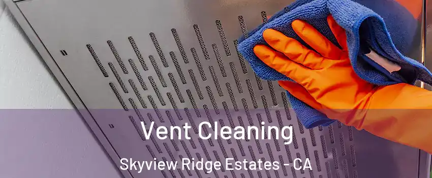Vent Cleaning Skyview Ridge Estates - CA