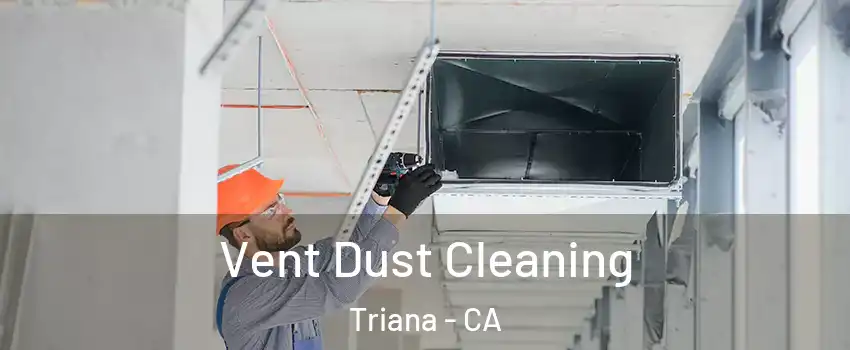 Vent Dust Cleaning Triana - CA