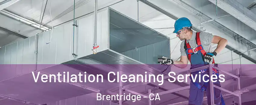 Ventilation Cleaning Services Brentridge - CA