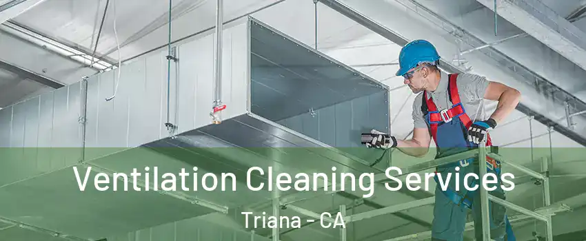 Ventilation Cleaning Services Triana - CA