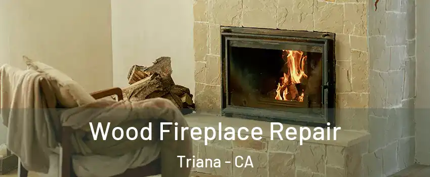 Wood Fireplace Repair Triana - CA