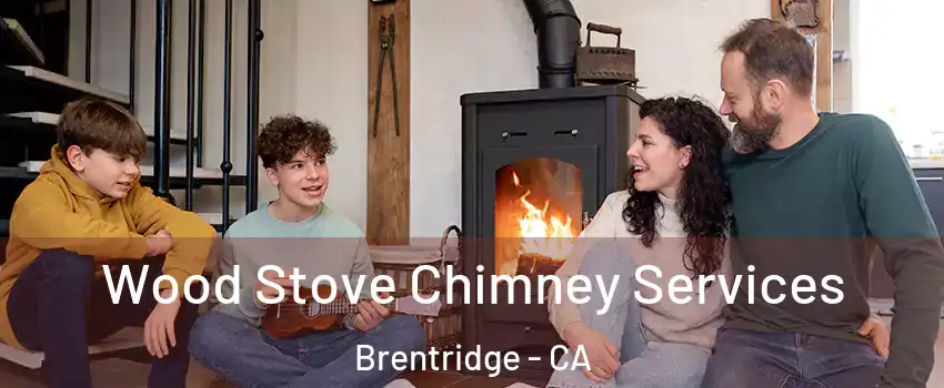 Wood Stove Chimney Services Brentridge - CA