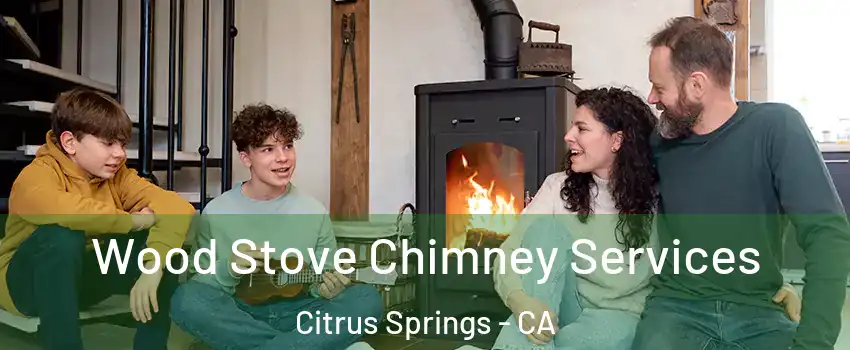 Wood Stove Chimney Services Citrus Springs - CA