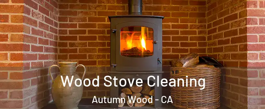 Wood Stove Cleaning Autumn Wood - CA