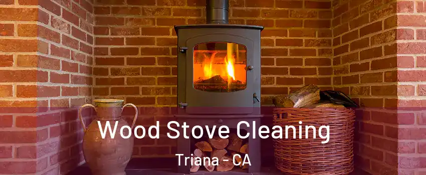 Wood Stove Cleaning Triana - CA