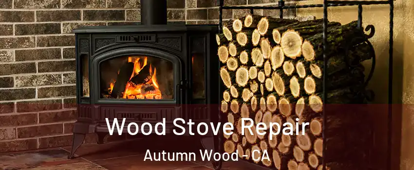 Wood Stove Repair Autumn Wood - CA